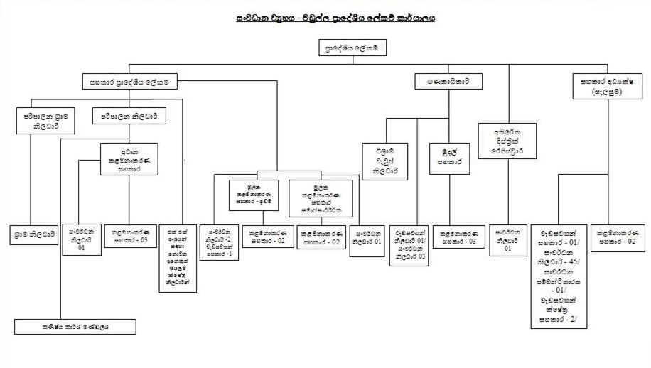 Orgernization chart