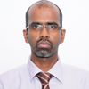 Accountant 
